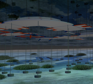 Sie sollten den Dingen immer auf den Grund gehen – Fakten